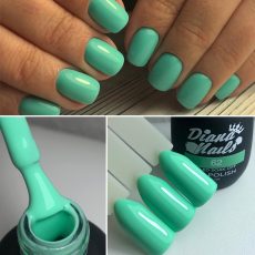 DIANA NAILS n.62